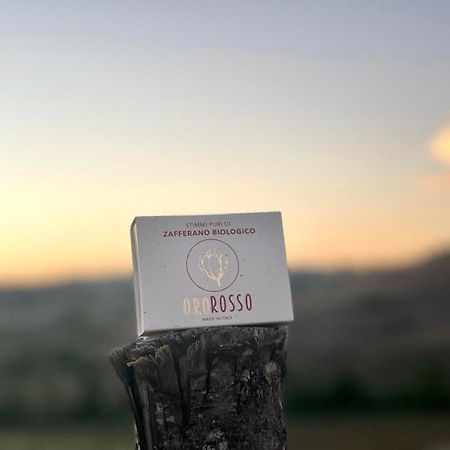 Agriturismo La Terrazza Sul Mangia シエーナ エクステリア 写真