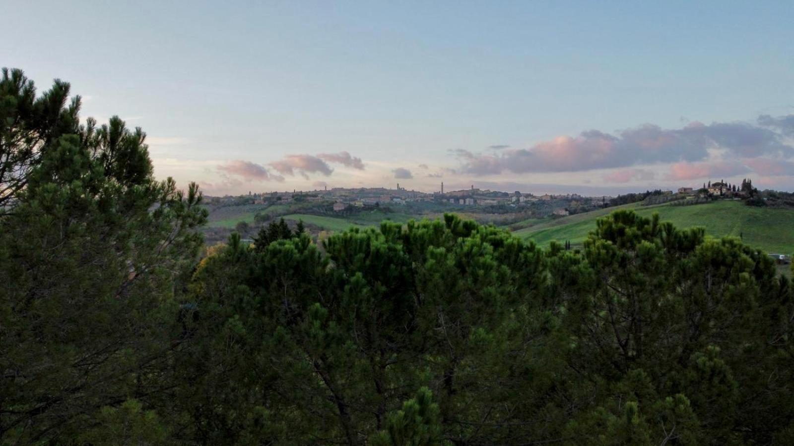 Agriturismo La Terrazza Sul Mangia シエーナ エクステリア 写真