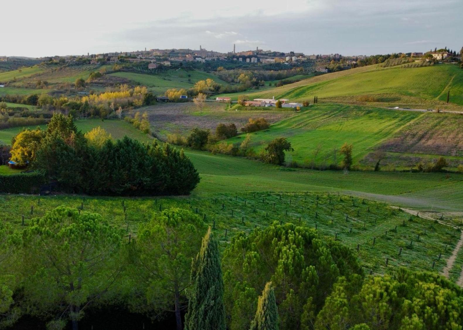 Agriturismo La Terrazza Sul Mangia シエーナ エクステリア 写真