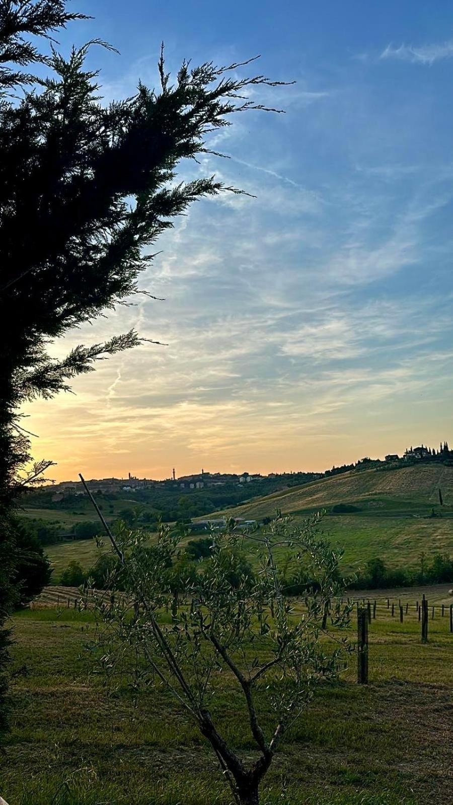 Agriturismo La Terrazza Sul Mangia シエーナ エクステリア 写真