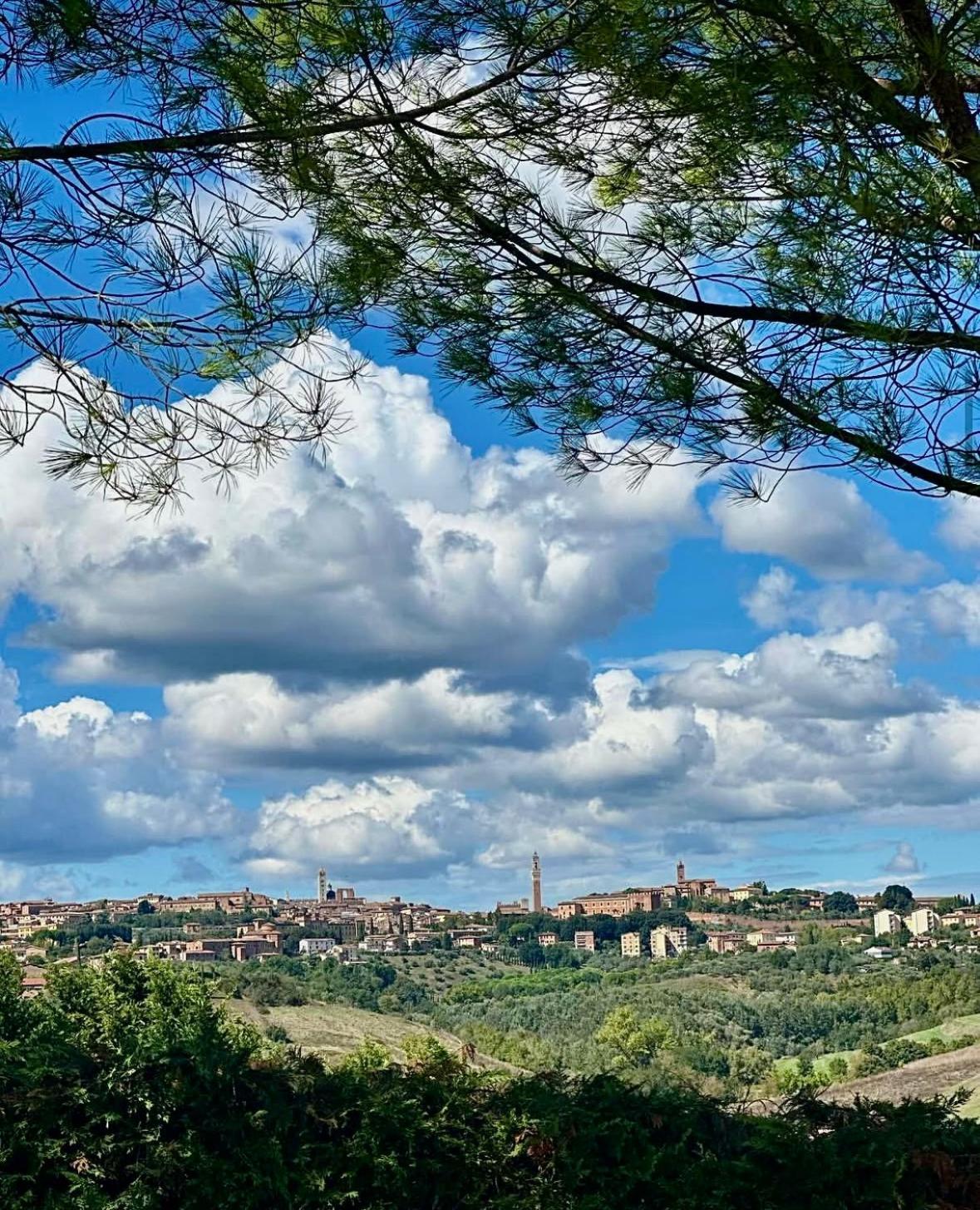 Agriturismo La Terrazza Sul Mangia シエーナ エクステリア 写真